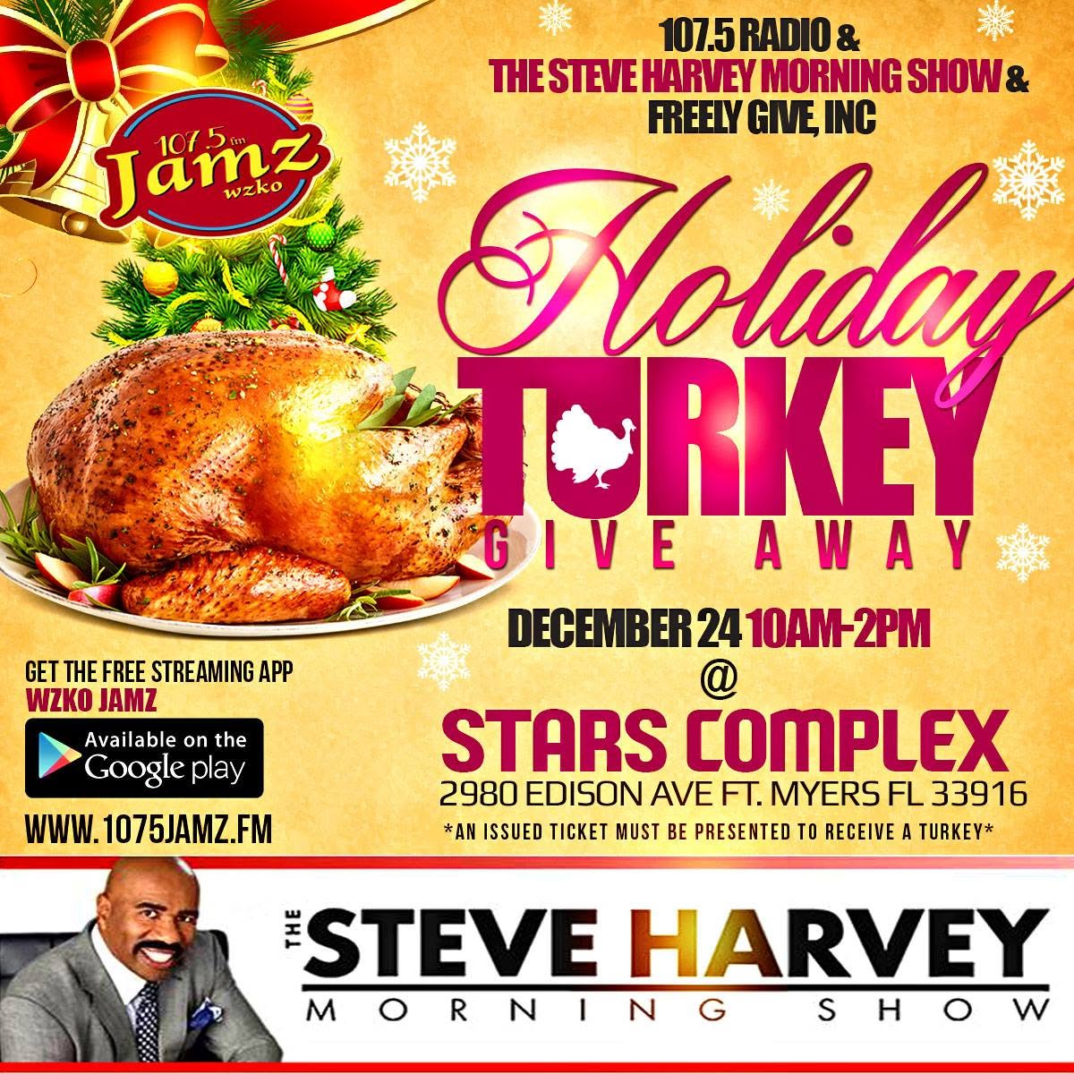 Holiday Turkey Flyer Design